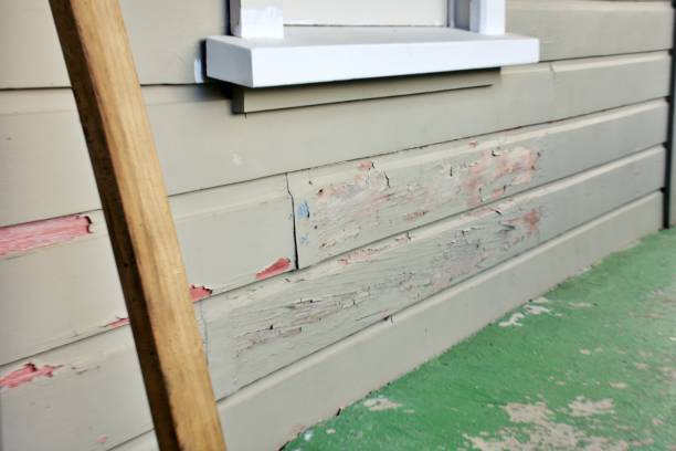 Best Siding Painting and Refinishing  in San Joaquin, CA